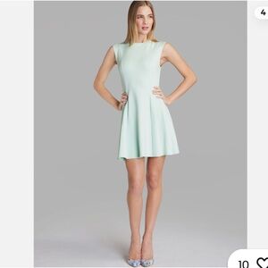 Ted Baker Elegant Mint Green Sleeveless Hourglass Dress